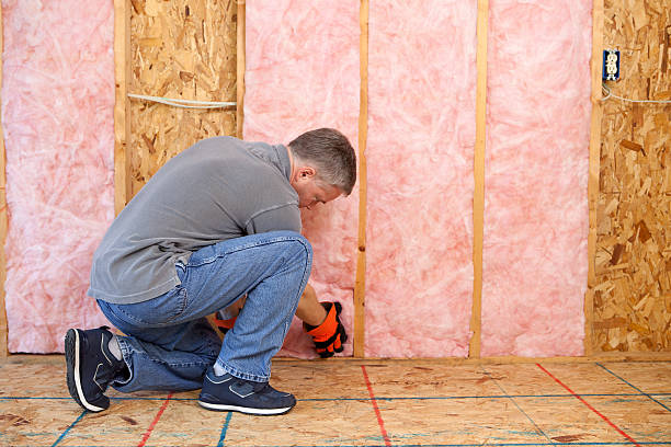 Best Residential Insulation in Cartersville, GA
