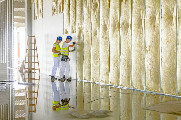 Best Energy Efficiency Solutions in Cartersville, GA